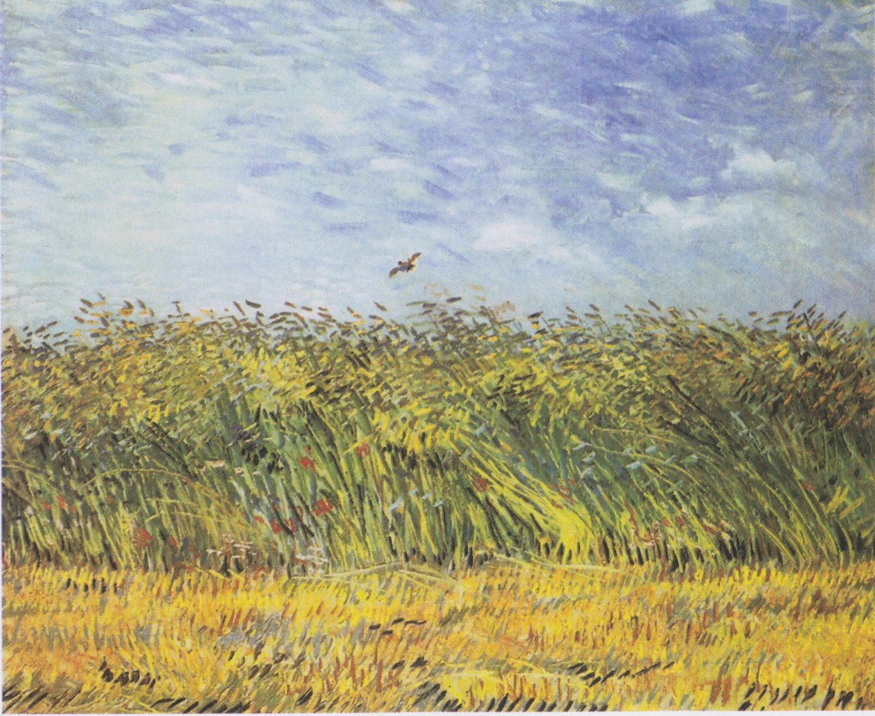 Kornåker med valmuer og lerk av Vincent van Gogh
