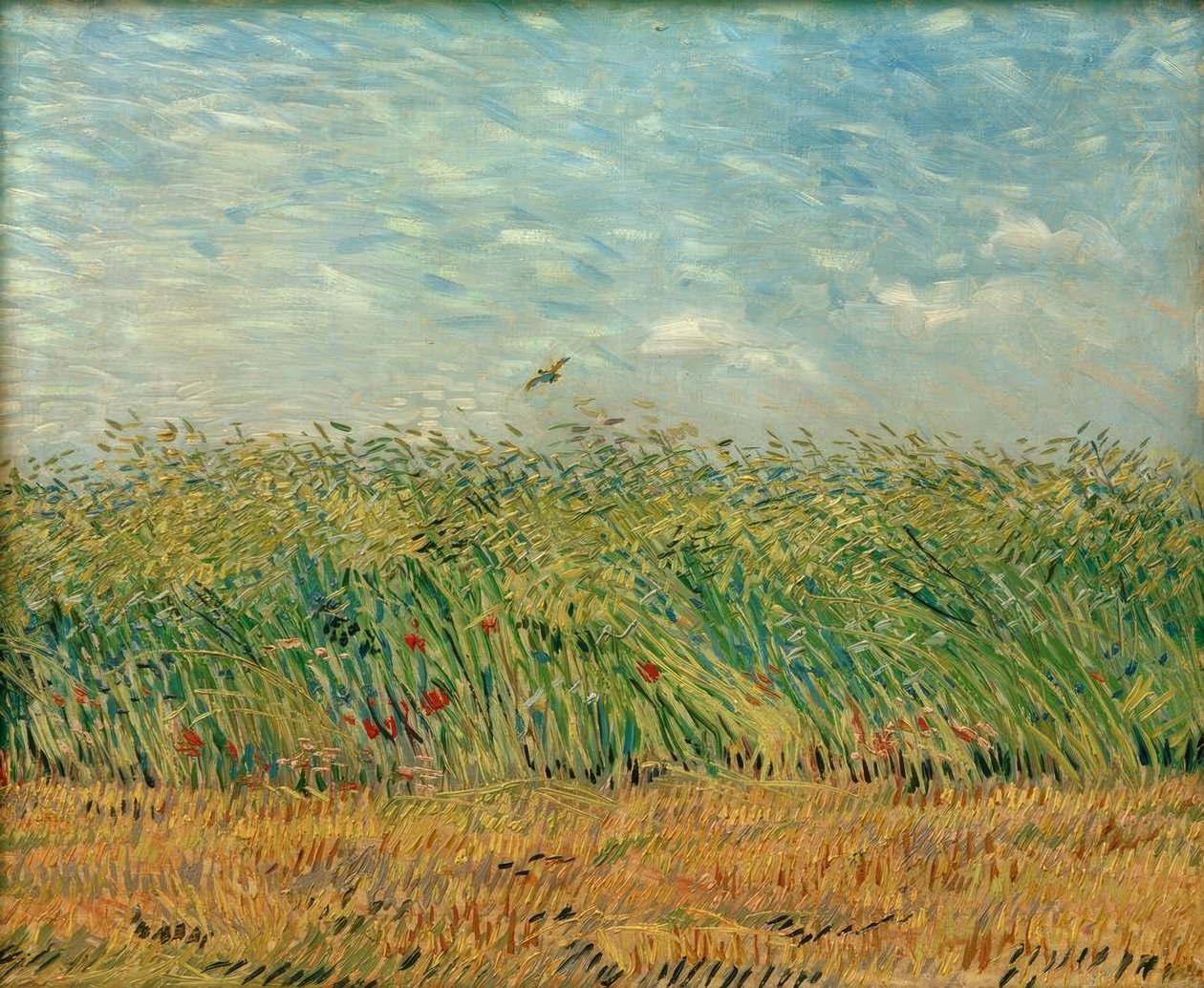 Kornfelt med valmuer og rapphøne av Vincent van Gogh