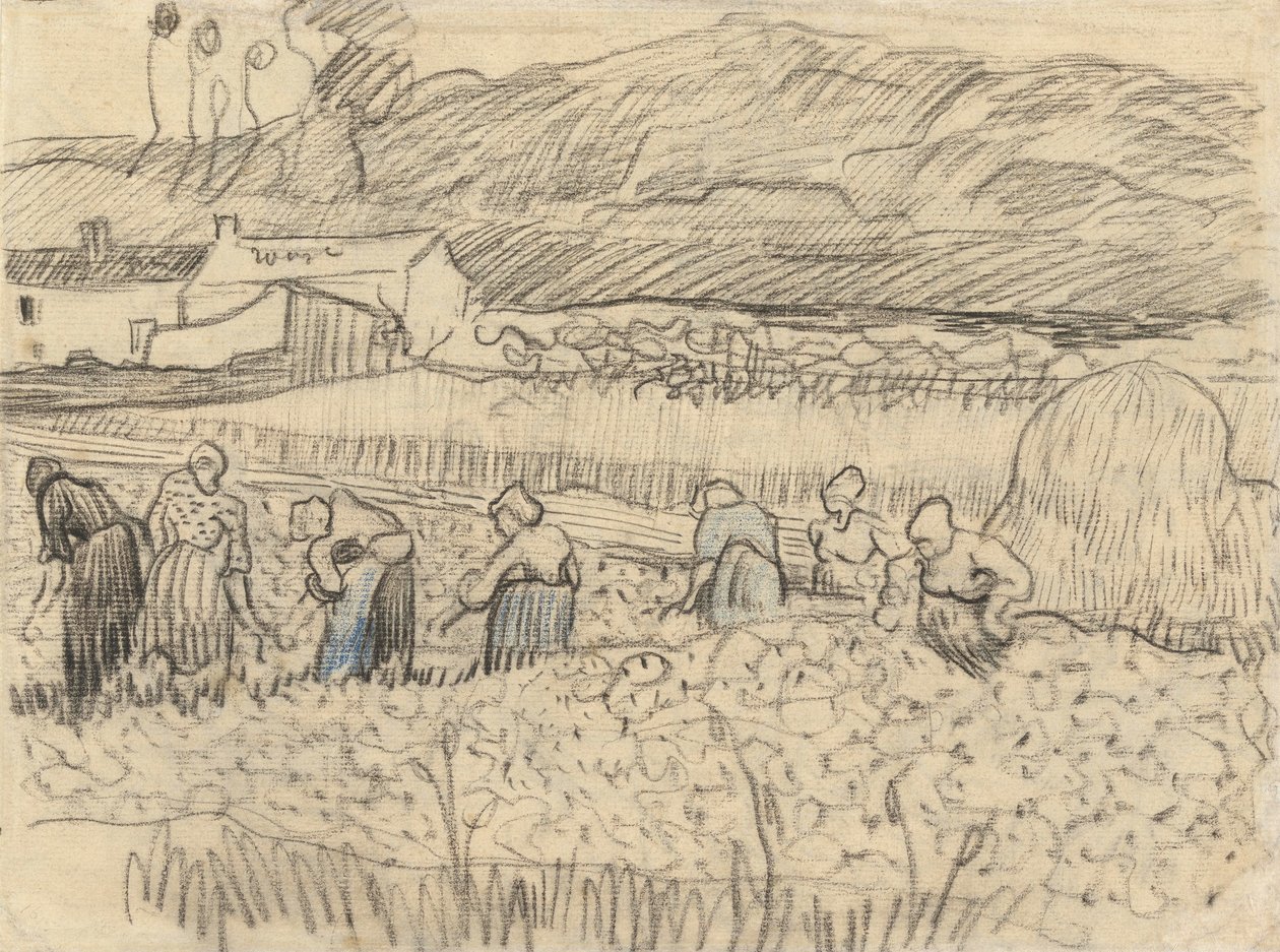 Landskap med bondekvinner som høster av Vincent van Gogh