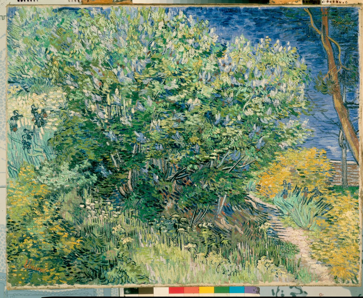 Lilac Bush av Vincent van Gogh
