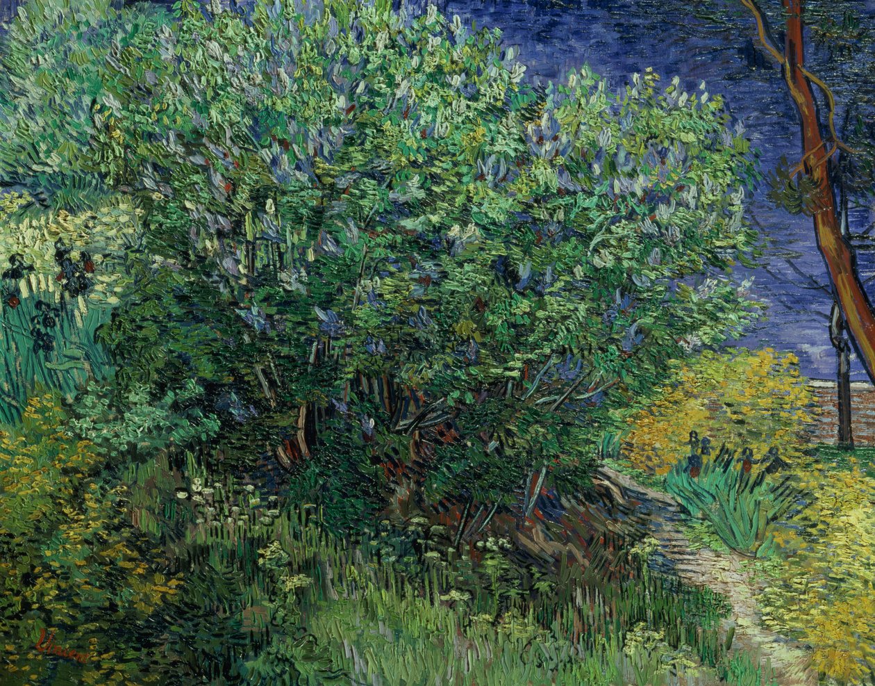 Syrin Bush, 1889 av Vincent van Gogh