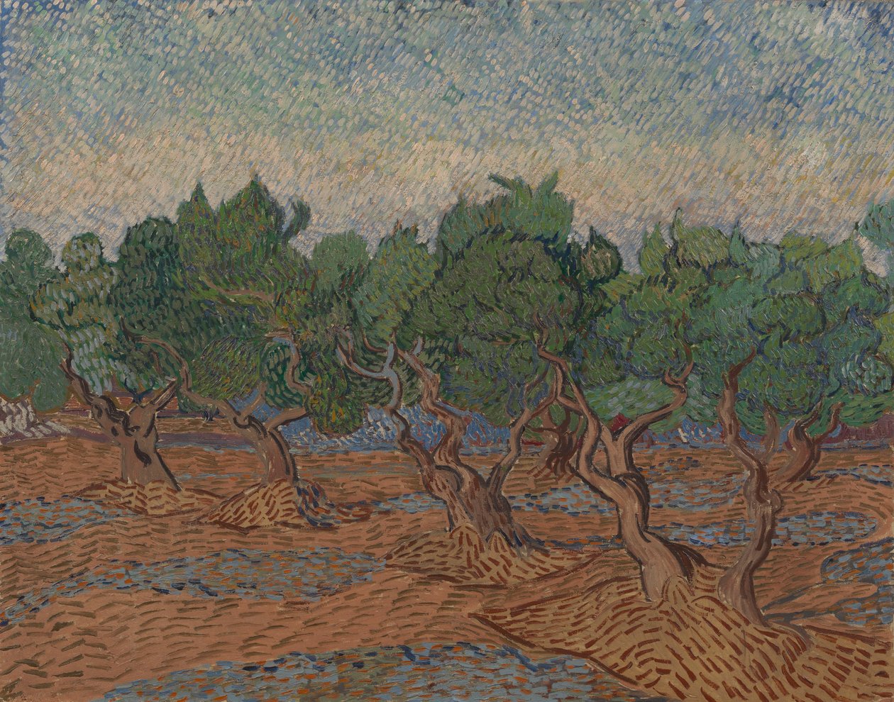 Olivenlund av Vincent van Gogh