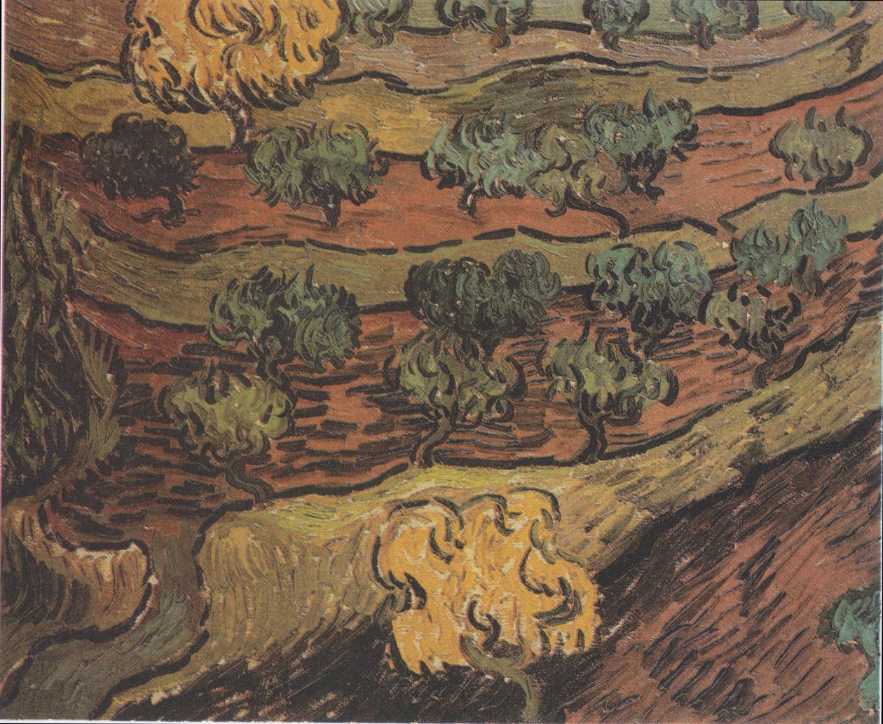 Oliventrær på en høyde av Vincent van Gogh