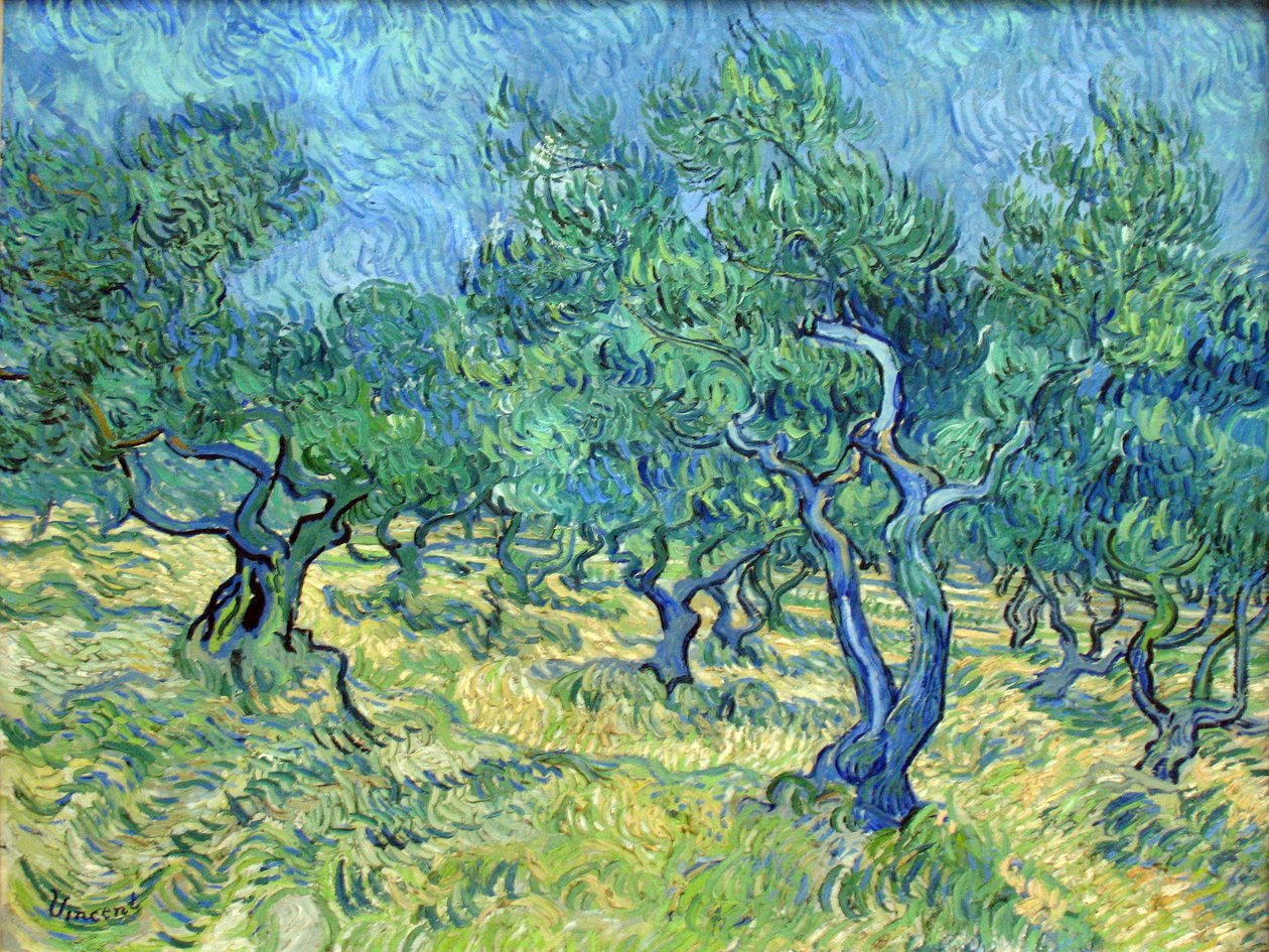 Olivenhage av Vincent van Gogh