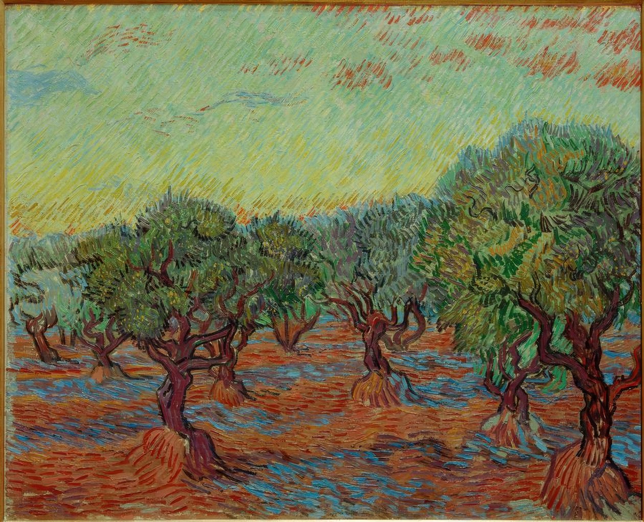 Olivenlund av Vincent van Gogh