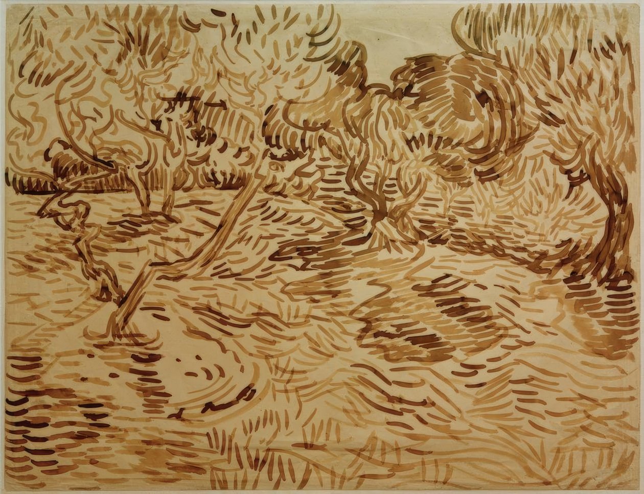 Olivenlund av Vincent van Gogh