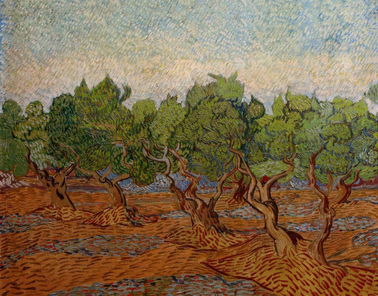 Olivenlund av Vincent van Gogh
