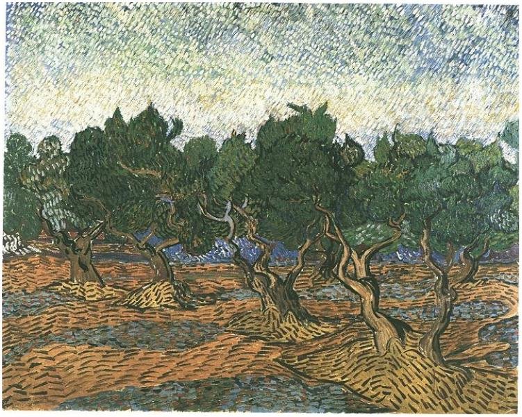 Olivenlund 3 av Vincent van Gogh