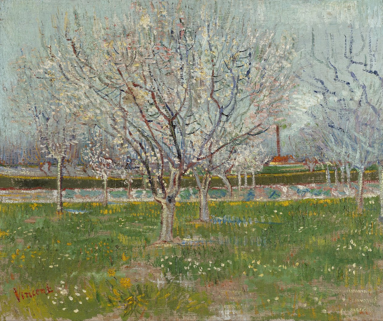 Frukthage i blomst (plommetrær) av Vincent van Gogh