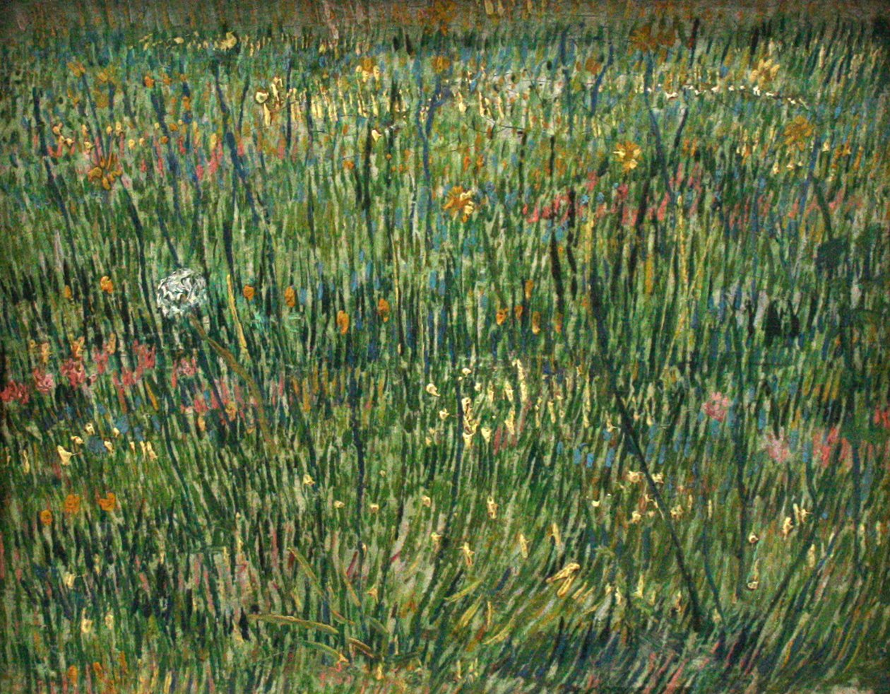 Plaster av gress av Vincent van Gogh