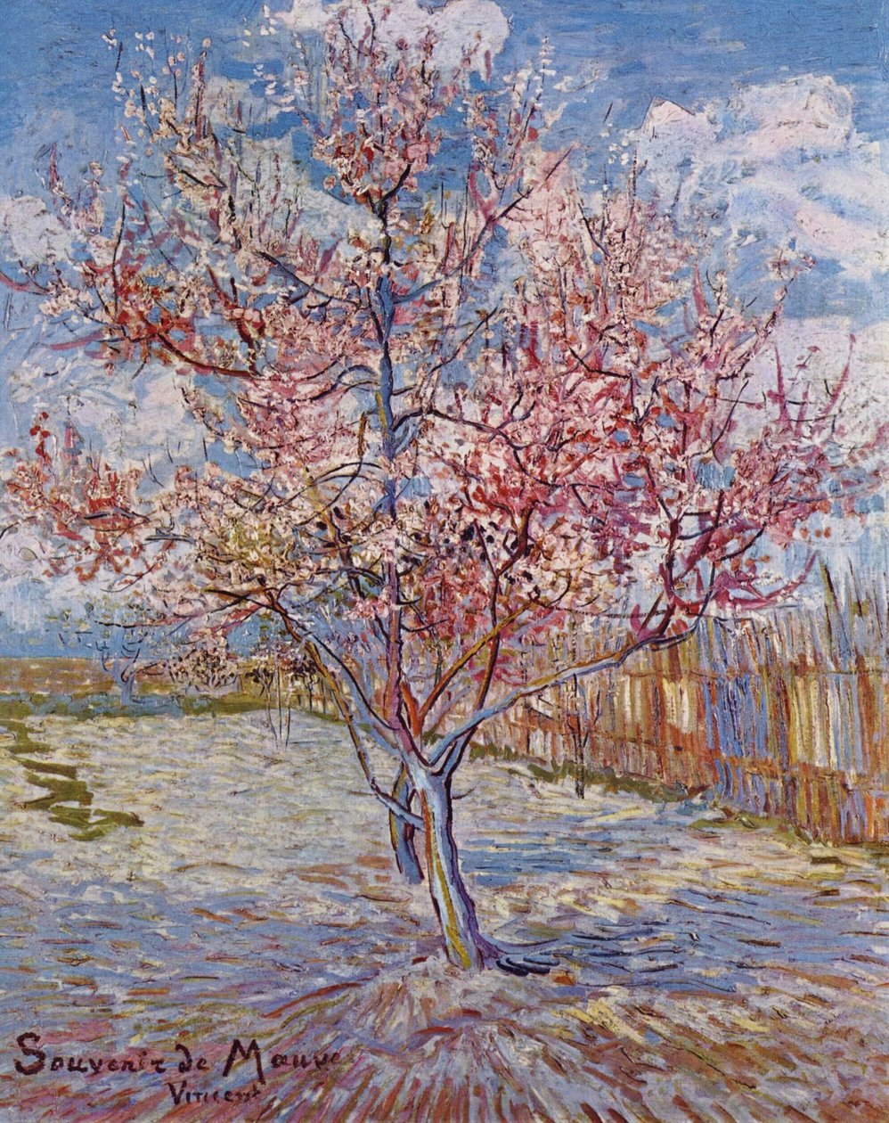 Plaster av gress av Vincent van Gogh