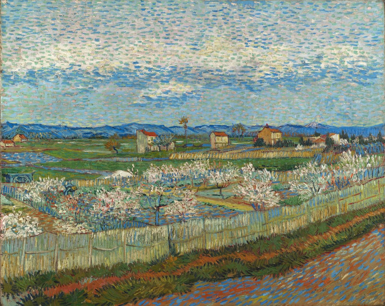 Ferskenstrær i blomst av Vincent van Gogh