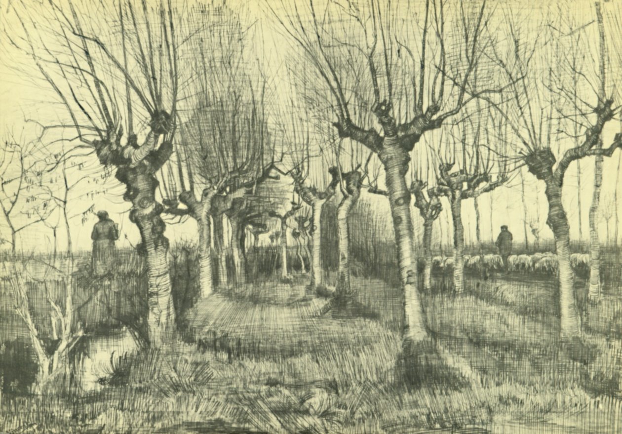 Pollardbjørker av Vincent van Gogh