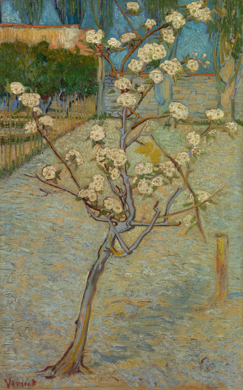 Lite pæretre i blomst av Vincent van Gogh