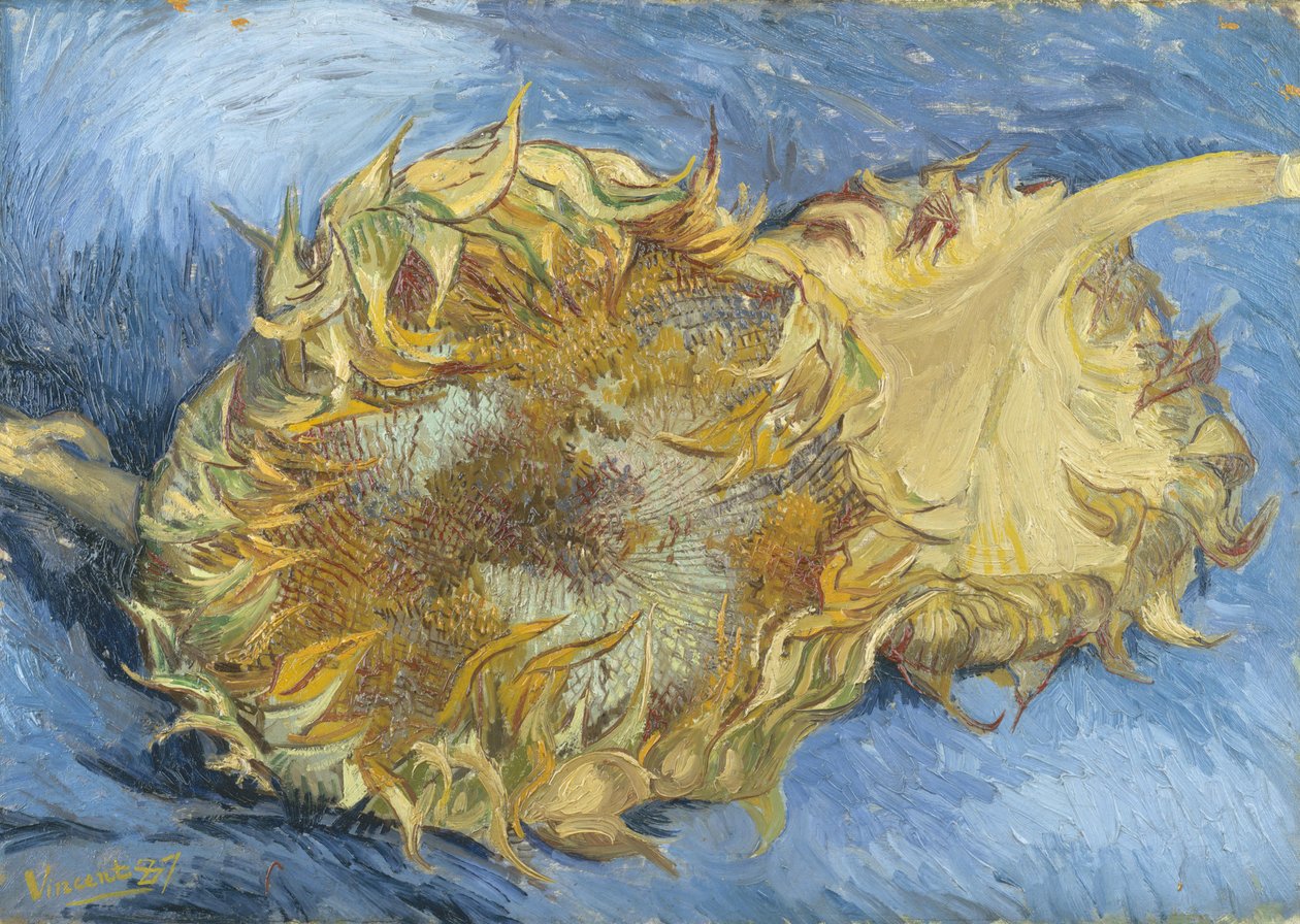 Solsikker av Vincent van Gogh