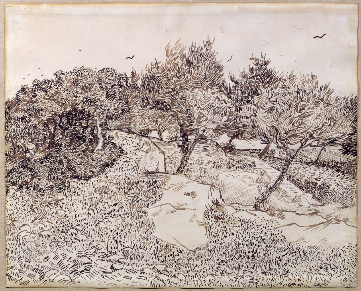 Oliventrærne av Vincent van Gogh