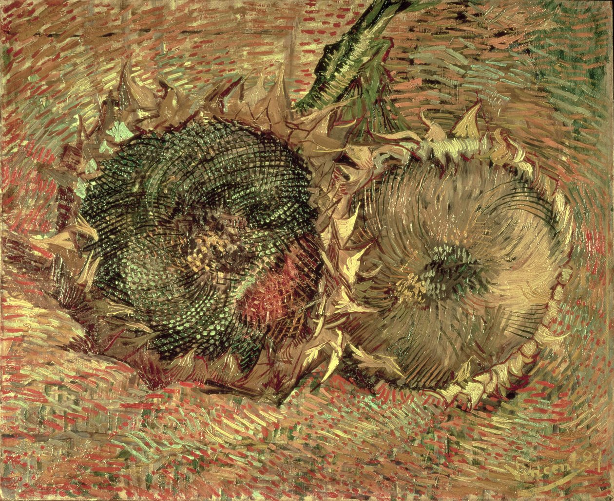 To kuttede solsikker, 1887 av Vincent van Gogh