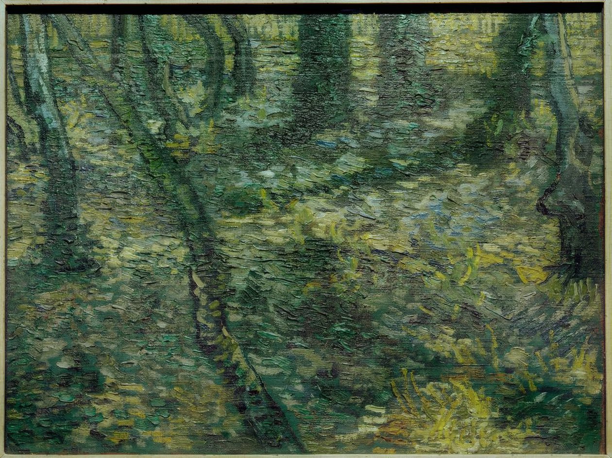 Underskog med eføy av Vincent van Gogh