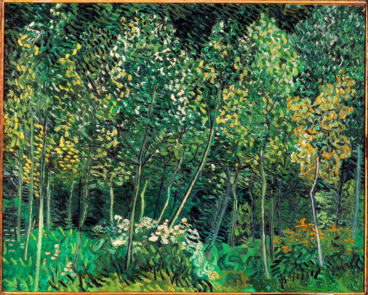 liten skog av Vincent van Gogh