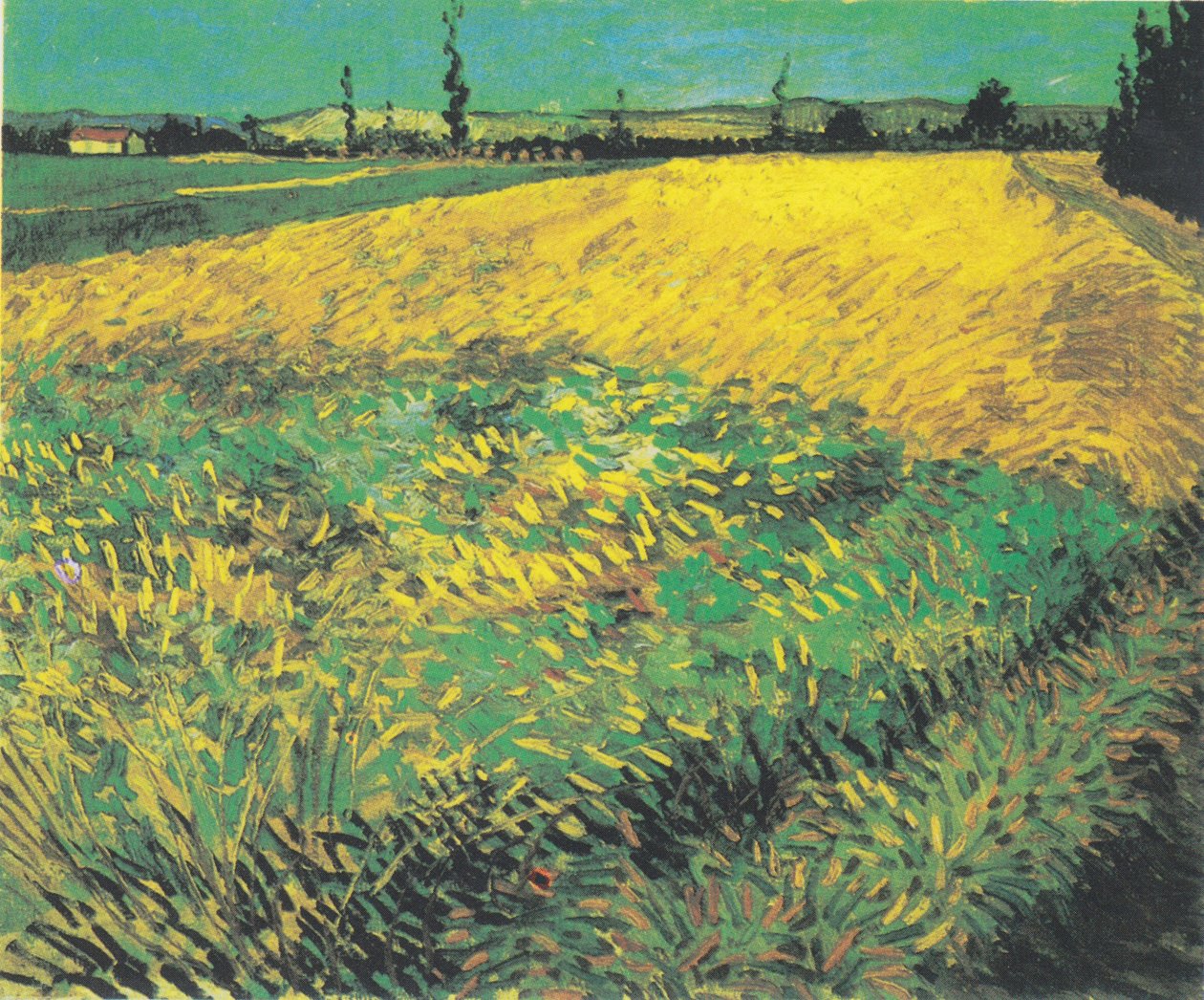 Hvetefelt med åser i Alpillene i bakgrunnen av Vincent van Gogh