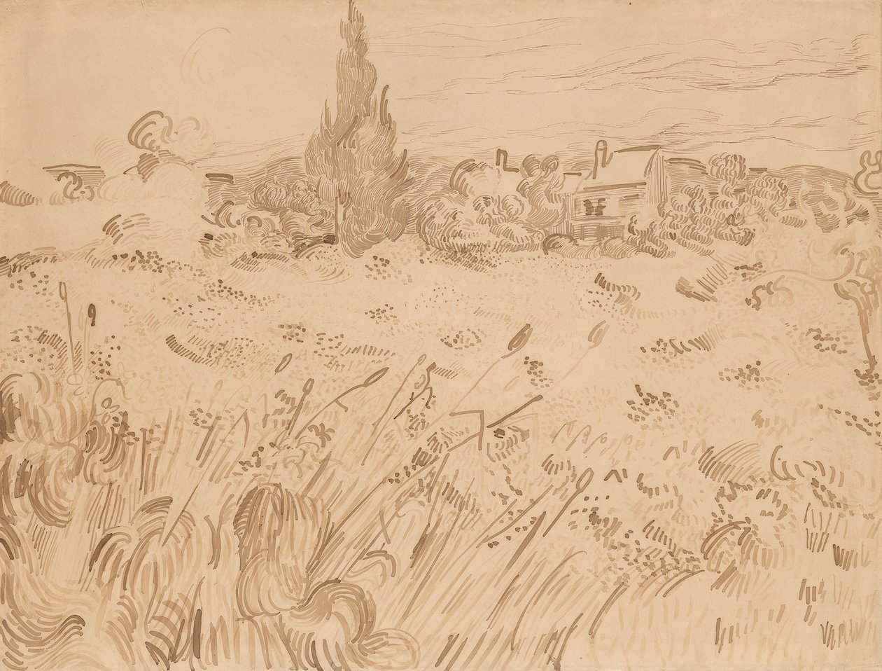 Wheatfield, Saint-Rémy de Provence av Vincent van Gogh