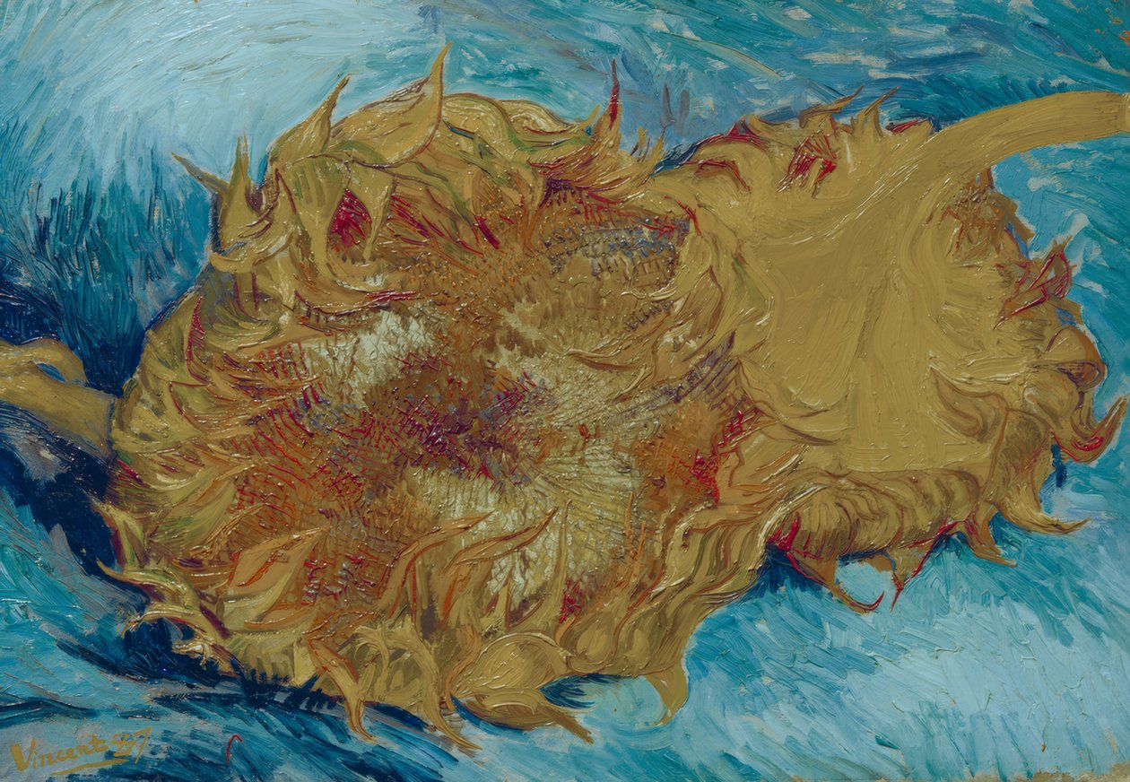 To kuttede solsikker av Vincent van Gogh