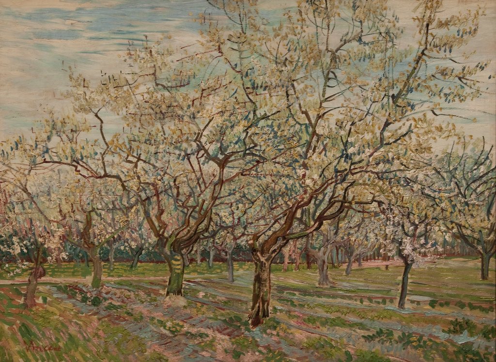 afra av Vincent van Gogh