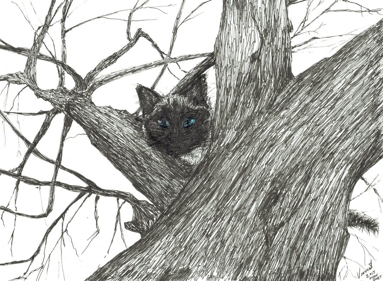 Apple tree Baby, 2015, (blekk på papir) av Vincent Alexander Booth