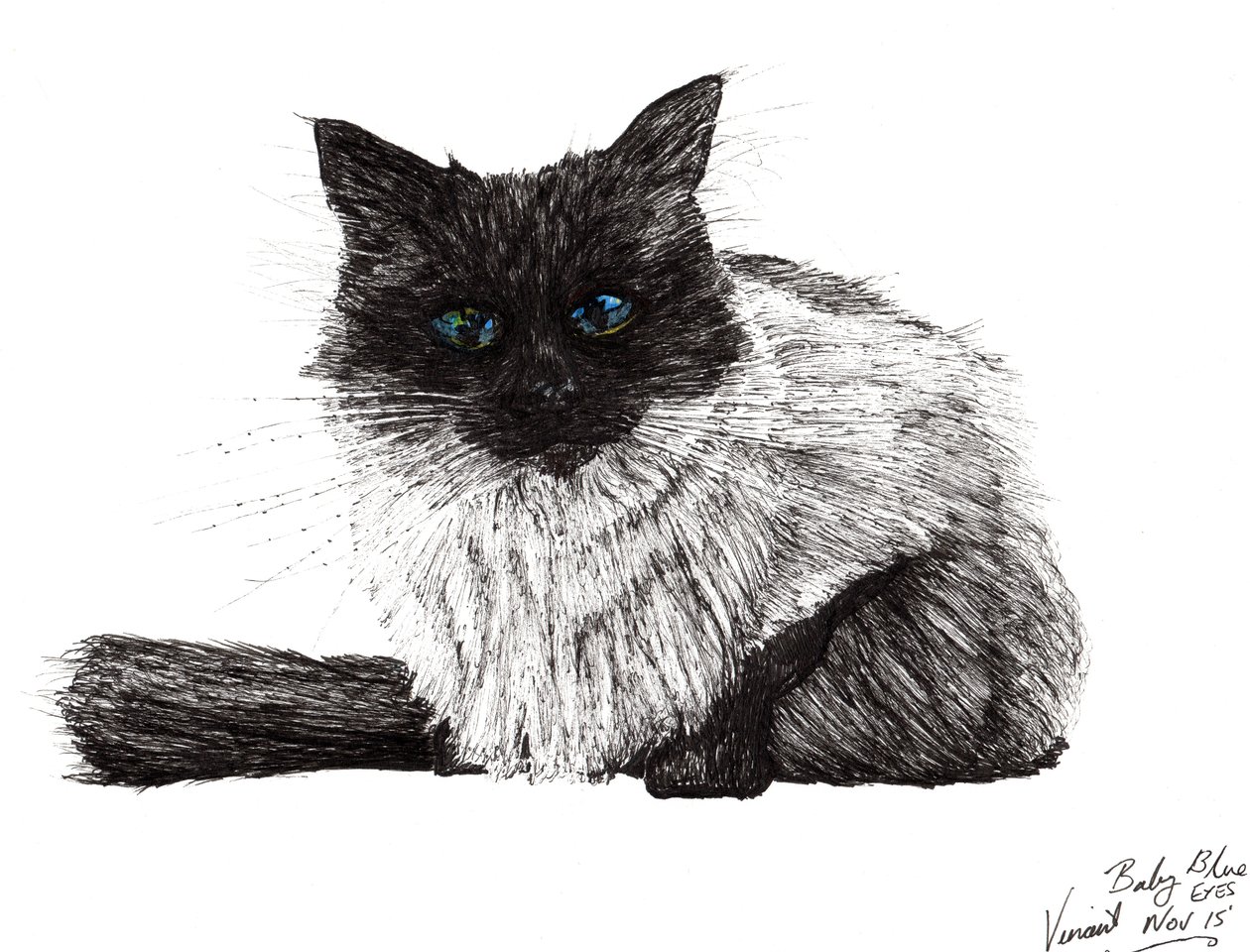 Babyblå øyne, 2015, (blekk på papir) av Vincent Alexander Booth