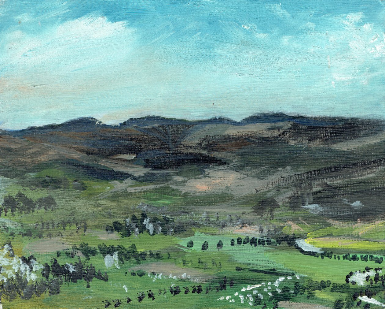 Cairngorms fra Creag Dhubh, 2006, (akryl på lerretstavle) av Vincent Alexander Booth