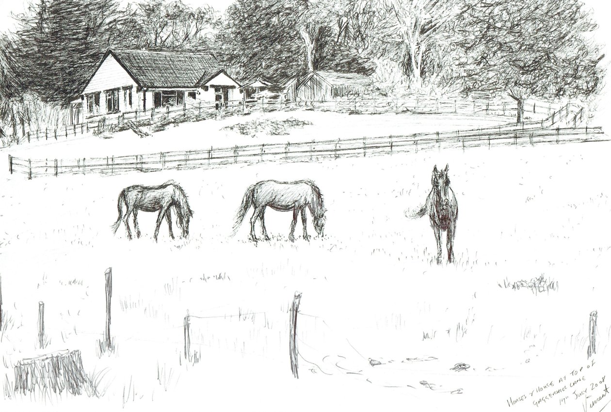 Hester på toppen av banen, 2008 (blekk på papir) av Vincent Alexander Booth