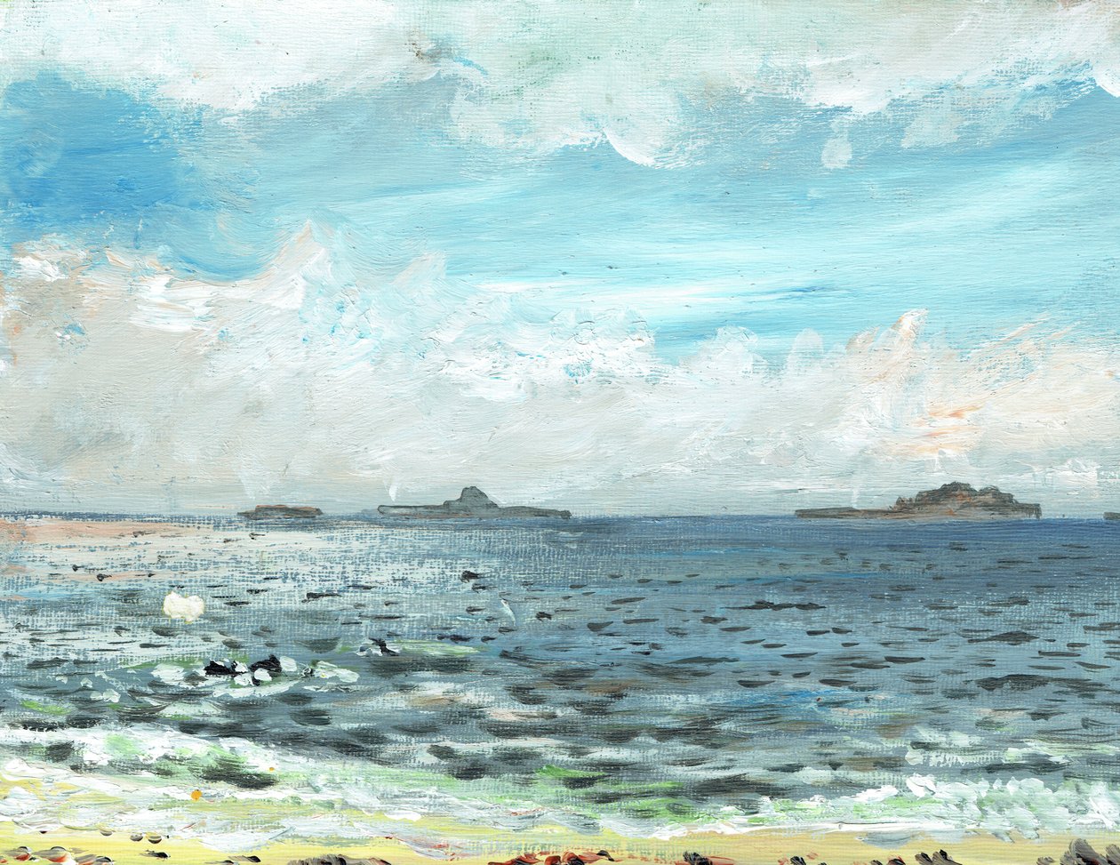 Iona beach, 2007, (akryl på lerretstavle) av Vincent Alexander Booth