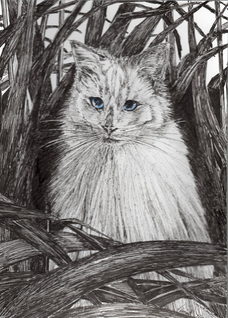 Jungle Monty, 2015, (blekk på papir) av Vincent Alexander Booth