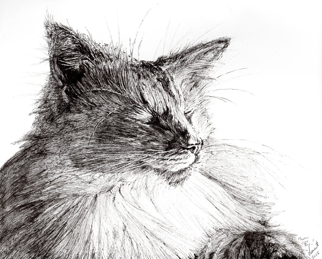 Monty cozy boy, 2015, (blekk på papir) av Vincent Alexander Booth