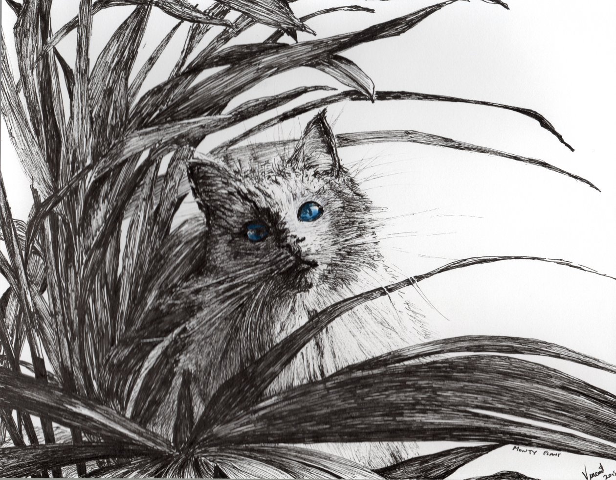 Monty plant, 2015, (blekk på papir) av Vincent Alexander Booth