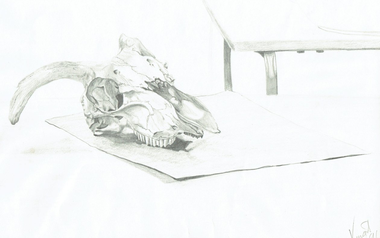 Hodeskalle av Vincent Alexander Booth