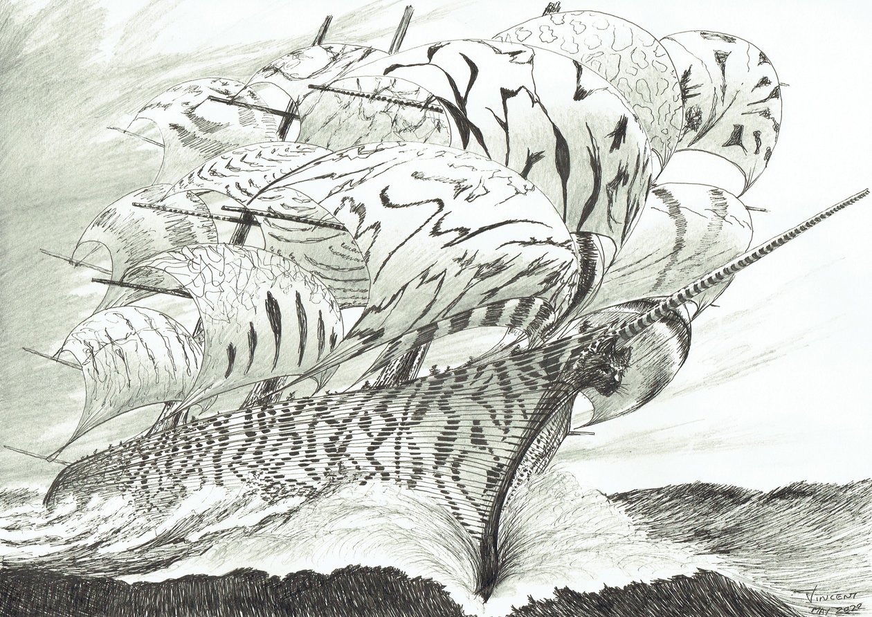 Storm Creators Lake Kariba, 2022 av Vincent Alexander Booth