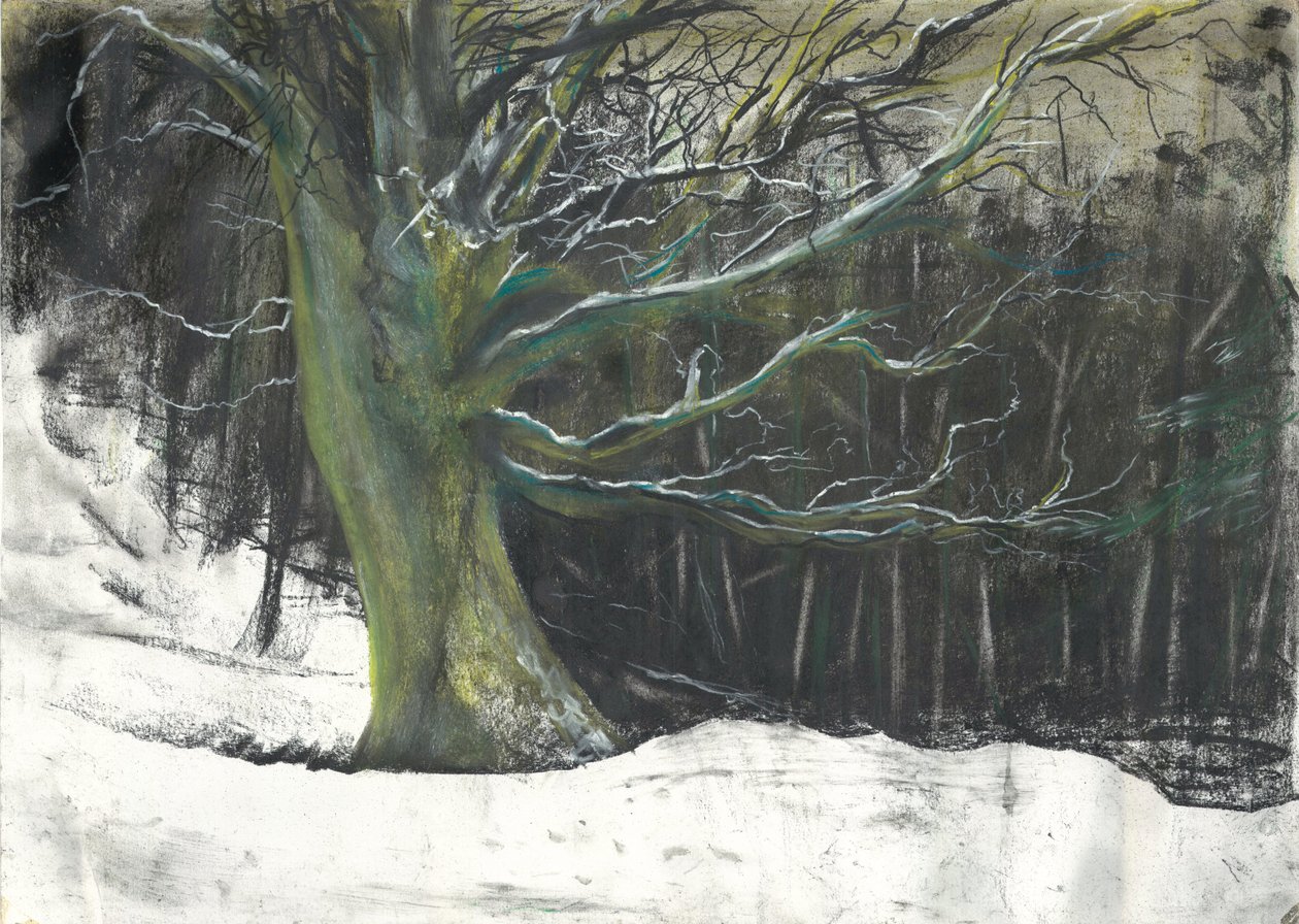 Tre i vintersnø ved Osmotherley-skogen av Vincent Alexander Booth