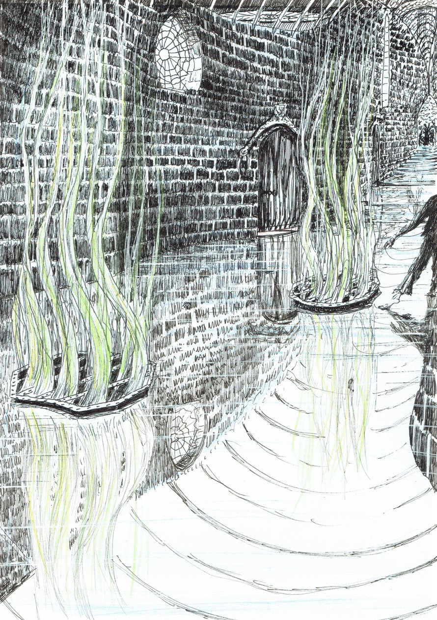 side 29, The Castle in the Forest of Findhorn, 2006, (blekk på papir) av Vincent Alexander Booth