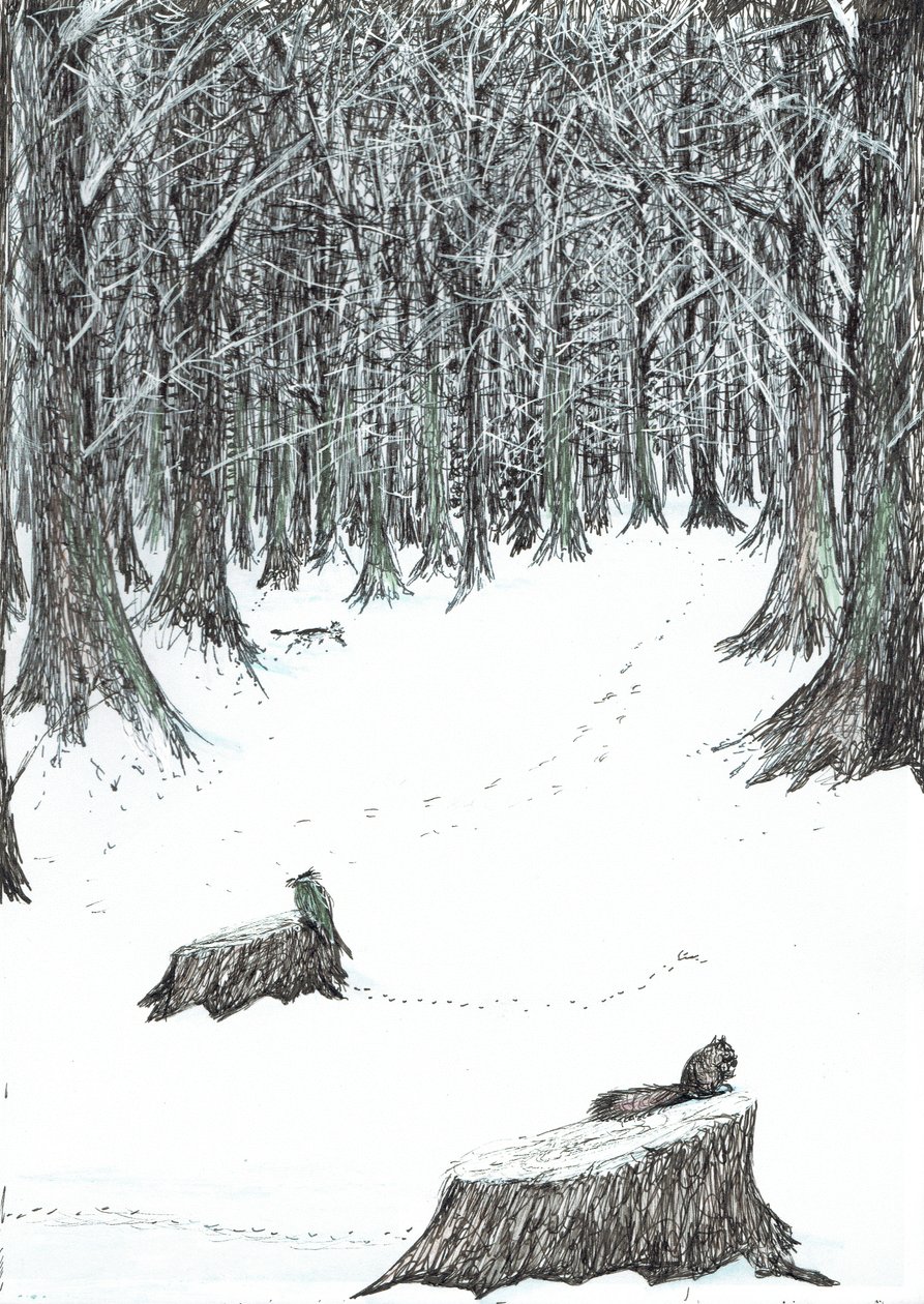 side 5, The Castle in the Forest of Findhorn, 2006, (blekk på papir) av Vincent Alexander Booth