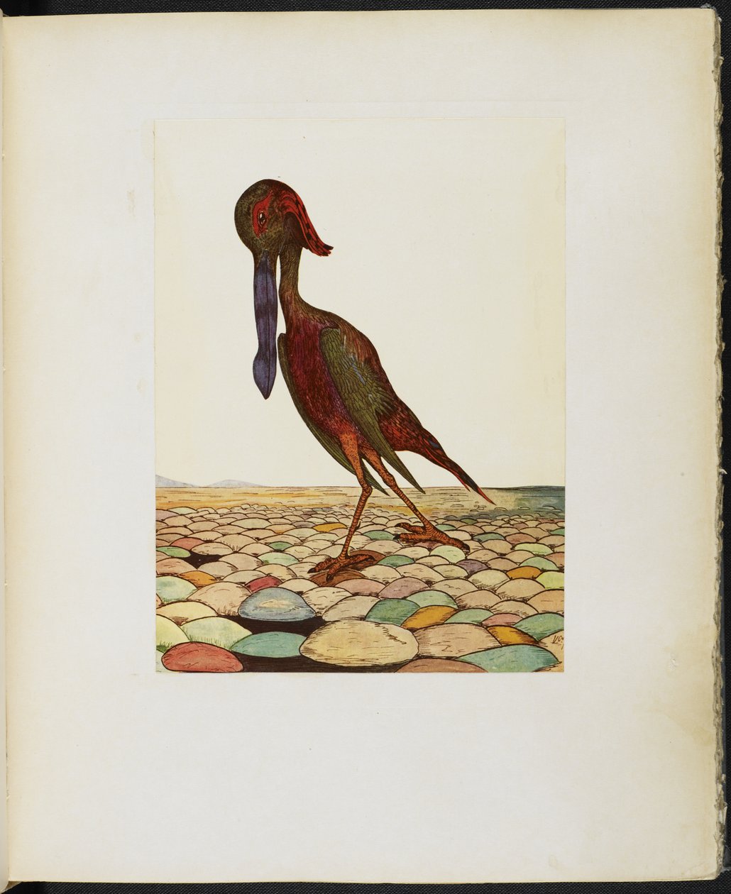 The Blue-Billed Ork, fra 