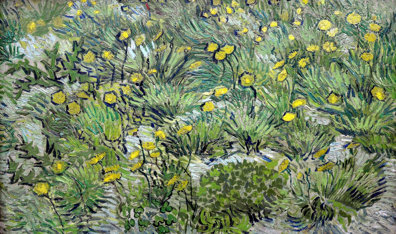 Løvetann Løvetann, 1889. av Vincent van Gogh