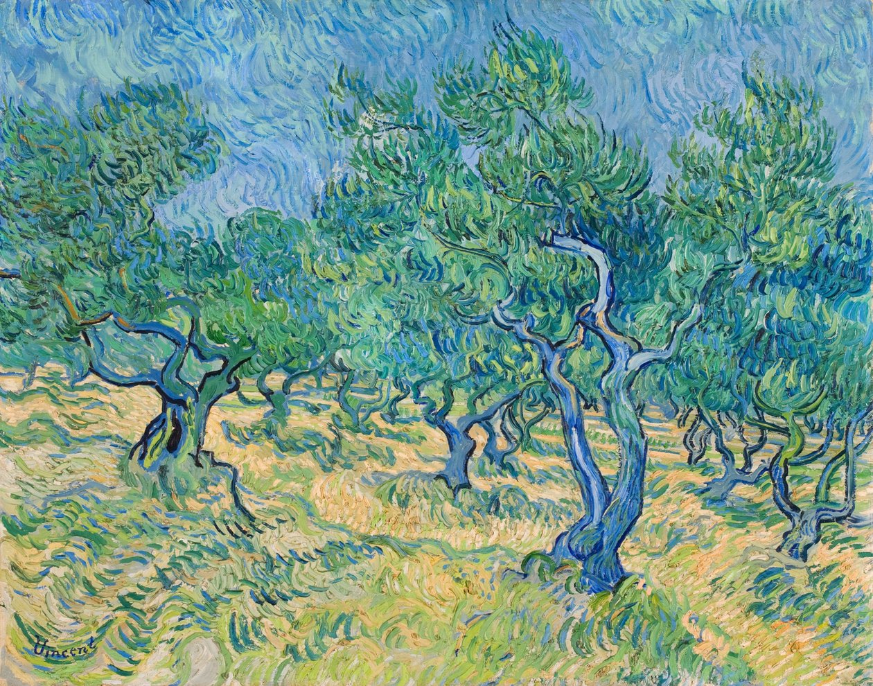 Olivenlund, 1889. av Vincent van Gogh