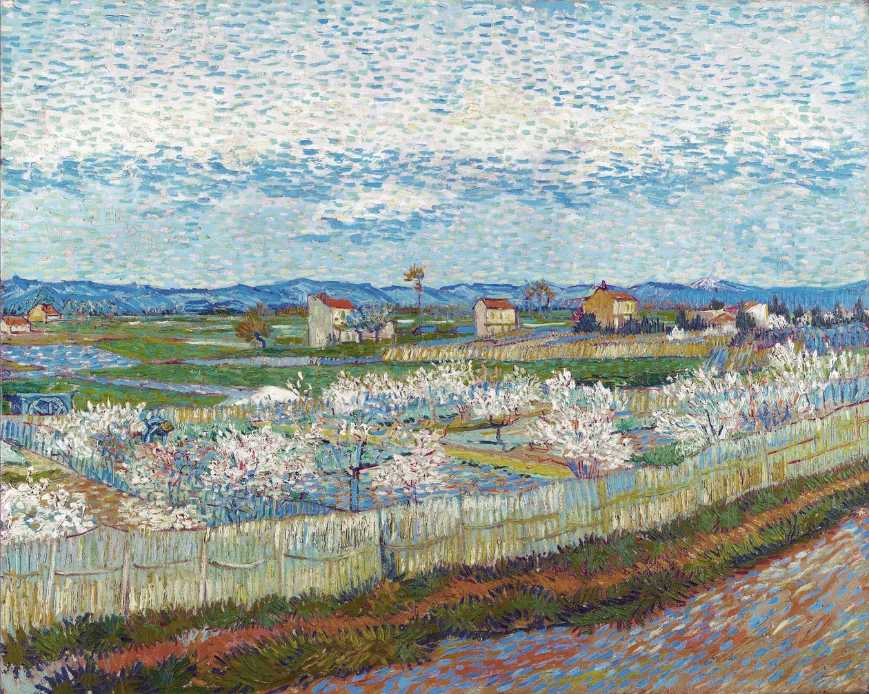 Ferskentrær i blomst, 1889. av Vincent van Gogh