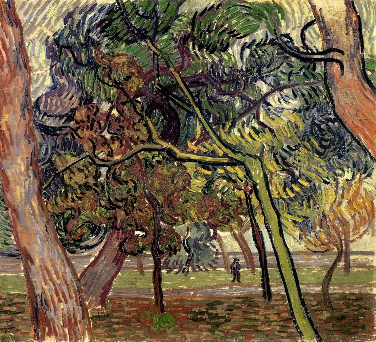 Furutrær i hagen til asylet, 1889. av Vincent van Gogh
