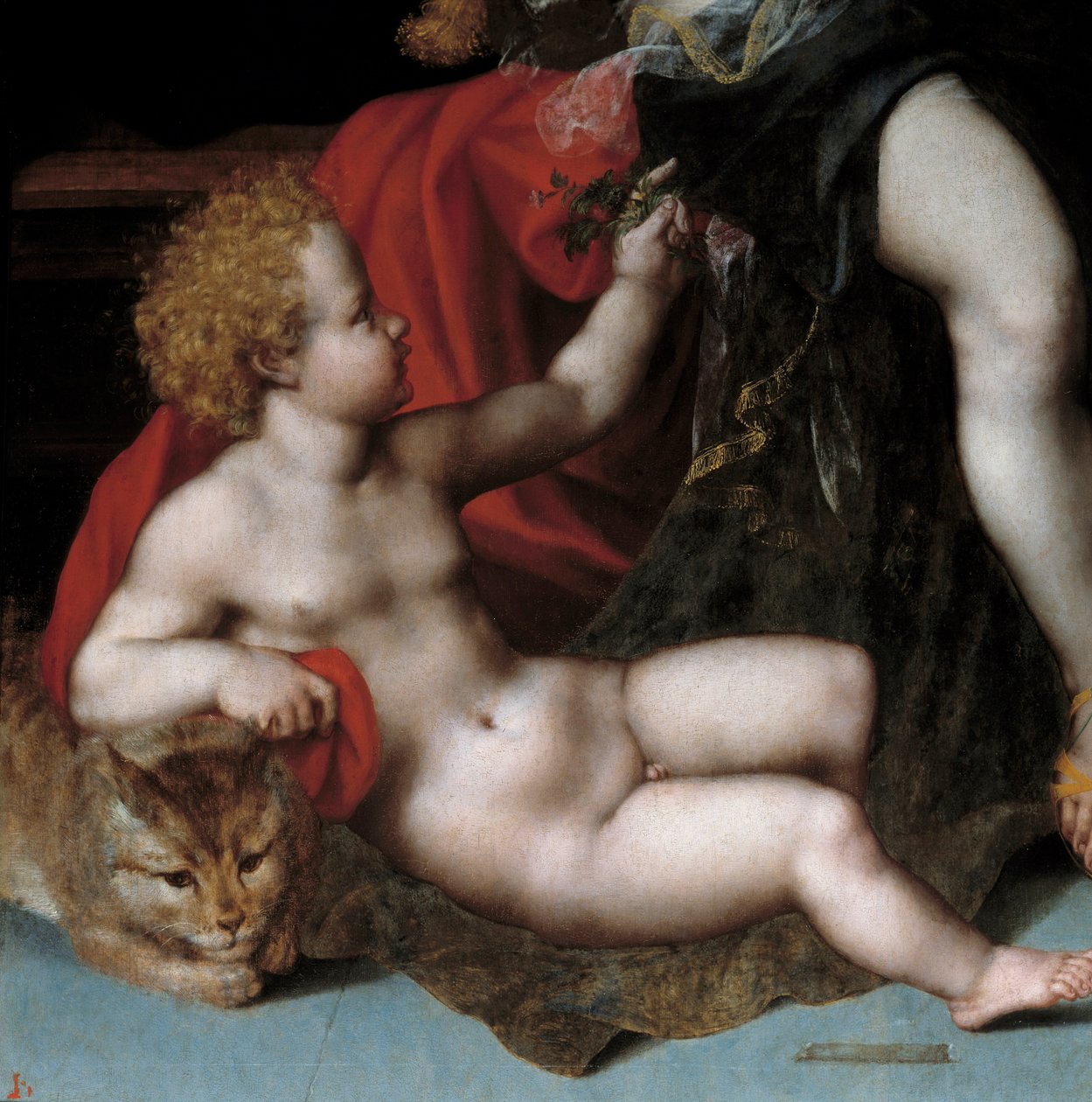 Jupiter i satyre med Antiope og hennes Detail-tvillinger som representerer en av tvillingene med en katt. Maleri av Vincent Sellaer (ca. 1500-1589) 1500-tallet. av Vincent Sellaer