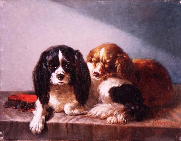 Et par Cavalier King Charles Spaniels på en avsats av Vincent de Vos