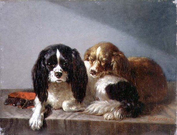 King Charles Spaniels av Vincent de Vos