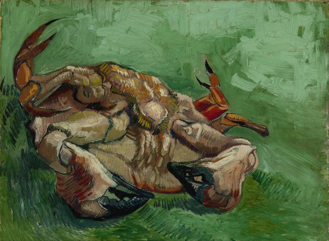 En krabbe på ryggen av Vincent van Gogh