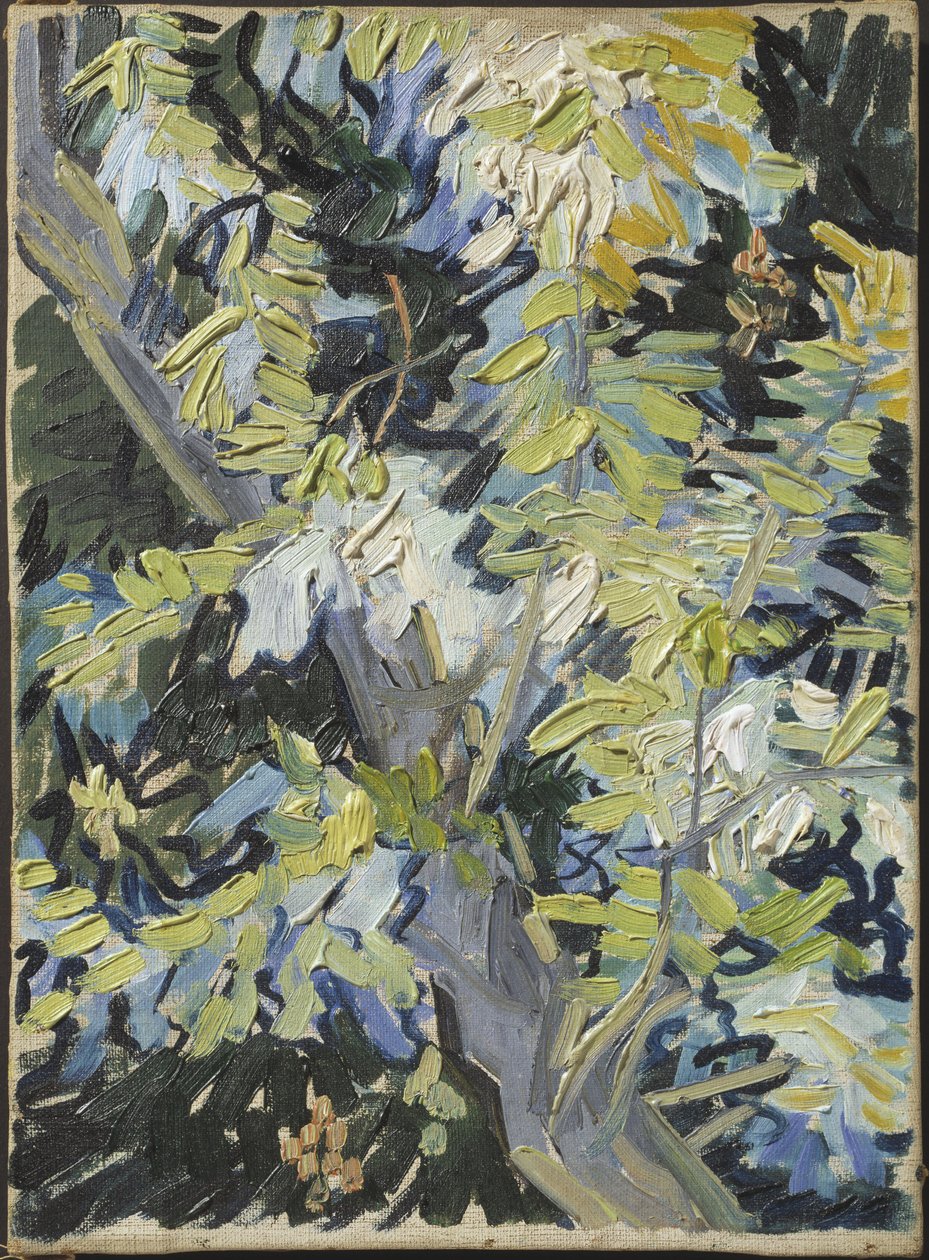 Acacia en fleur - Acacia Flowering, av Gogh, Vincent, van (1853-1890). Olje på lerret. Mål: 33x24 cm. Nationalmuseum Stockholm av Vincent van Gogh